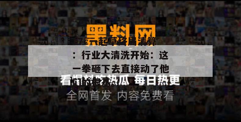 17c一起草终局清算:行业大清洗开始:这一拳砸下去直接动了他们的根基。